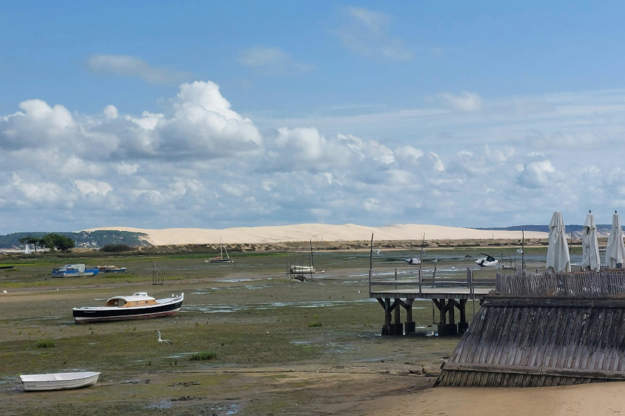 10 ideas for destinations accessible by bus in groups in France 8 Arcachon basin, Pilat dune