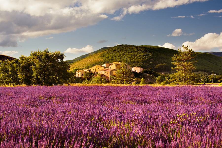 La France des saveurs : destinations oenologiques et gastronomiques en autocar 2 Provence, France