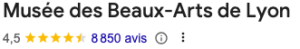 Note google du Musée des Beaux-Arts de Lyon