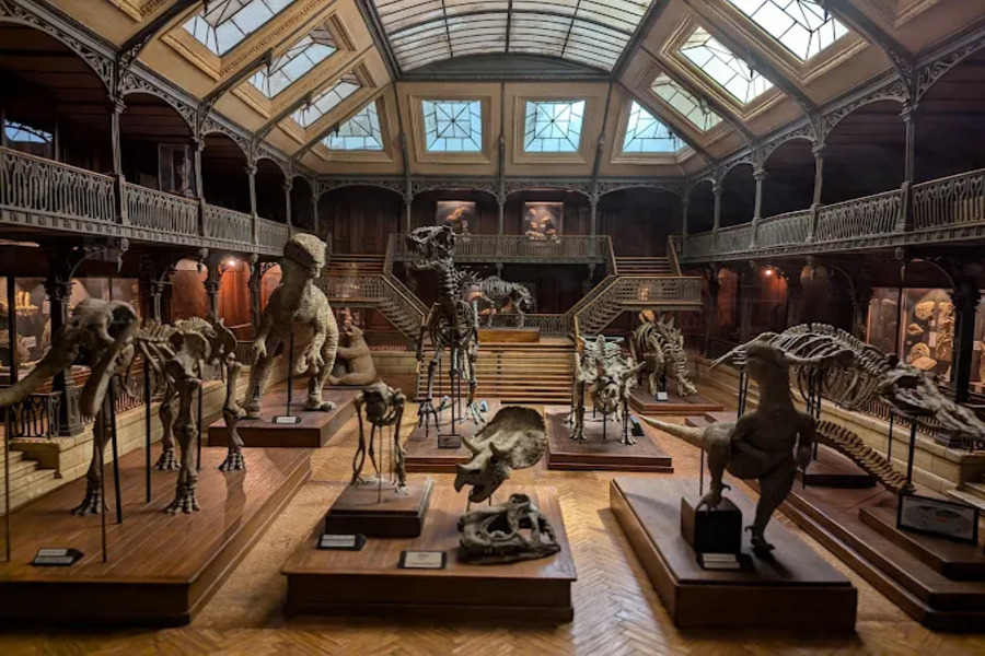 Week-end à Lyon : guide complet pour découvrir la capitale des Gaules 12 Musée Miniature et Cinéma, Lyon