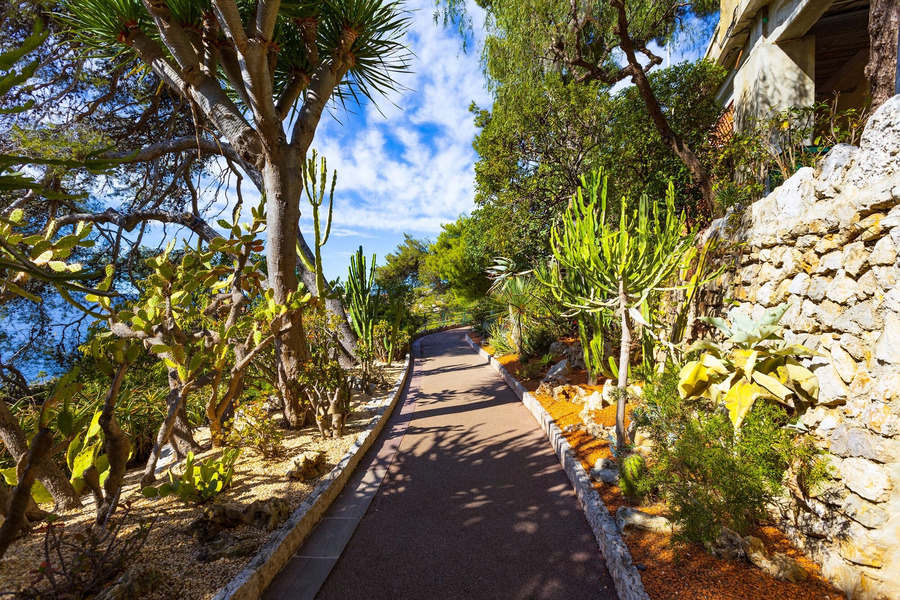 Credit: VisitMonacoJardins, Monaco 