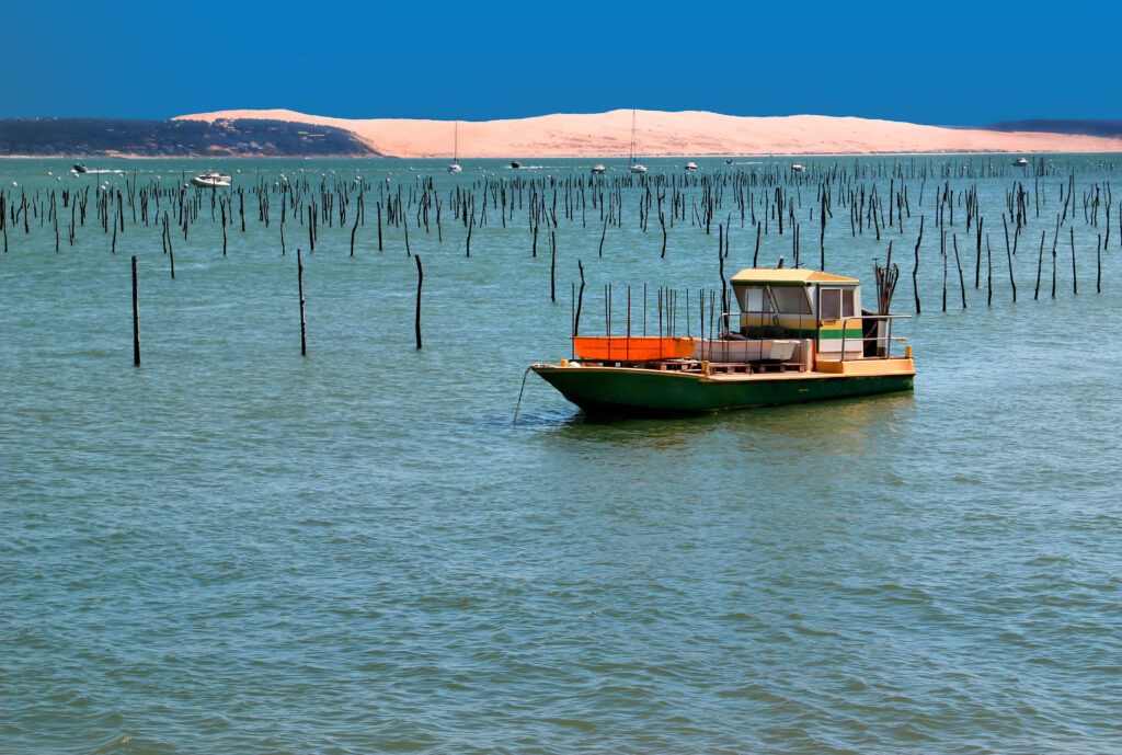 Paysage du Cap Ferret