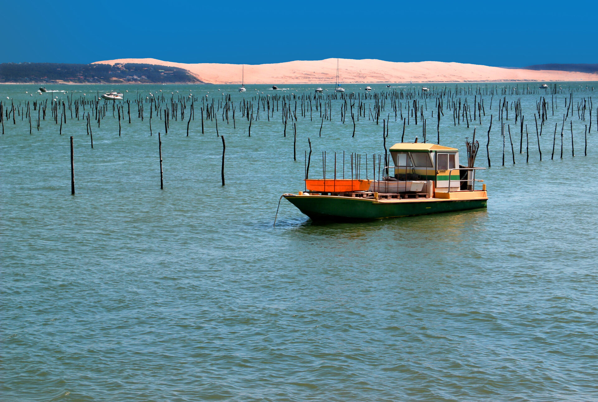 Paysage du Cap Ferret scaled