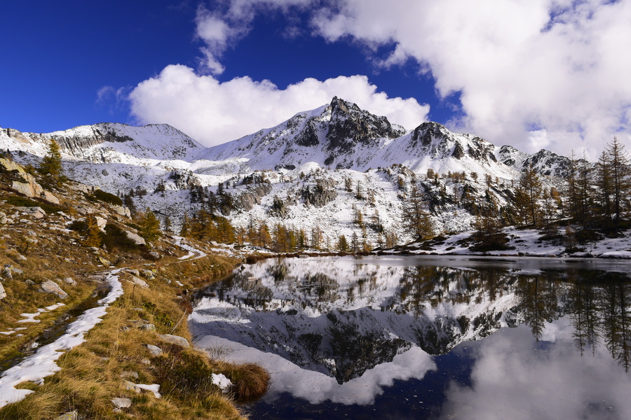 Échappées vertes : Les parcs naturels de France à visiter en bus 4 Parc National du Mercantour